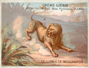 De Leeuw en de Mug